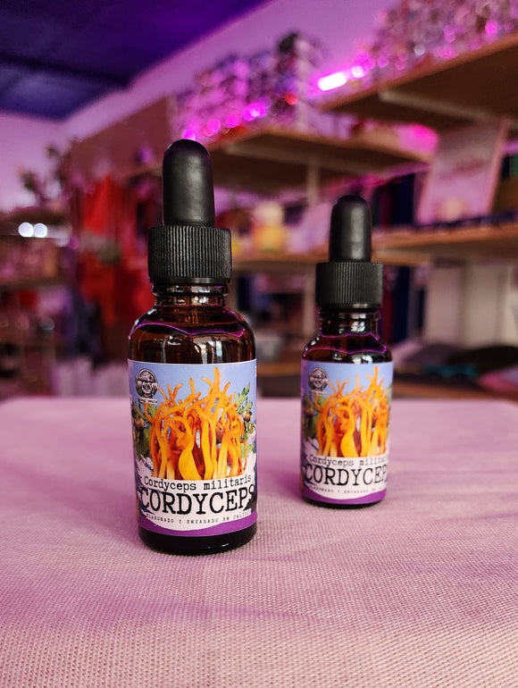 CORDYCEPS ADAPTOGENO