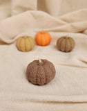 VELAS DECORATIVAS "CALABAZAS"