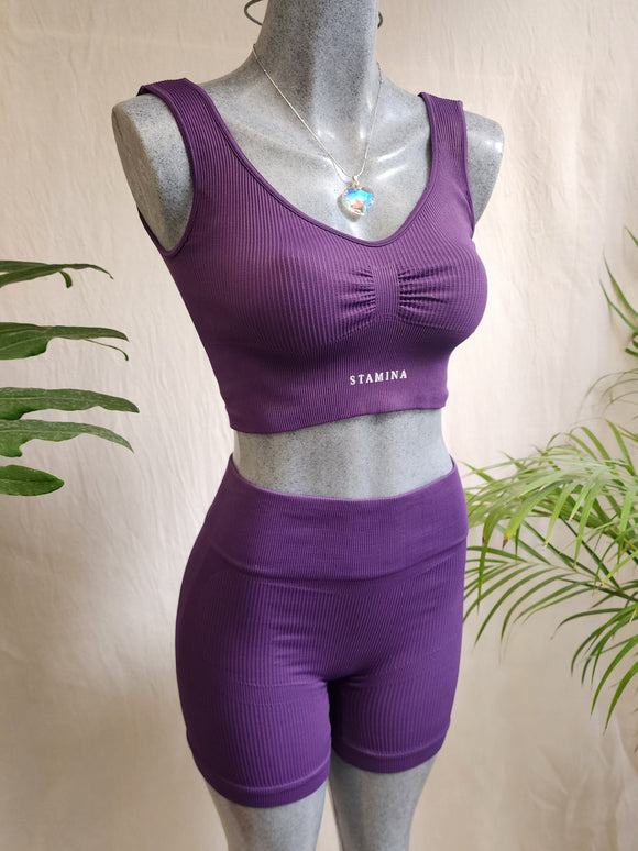 CONJUNTO DEPORTIVO (PRINCESA) COLOR MORADO