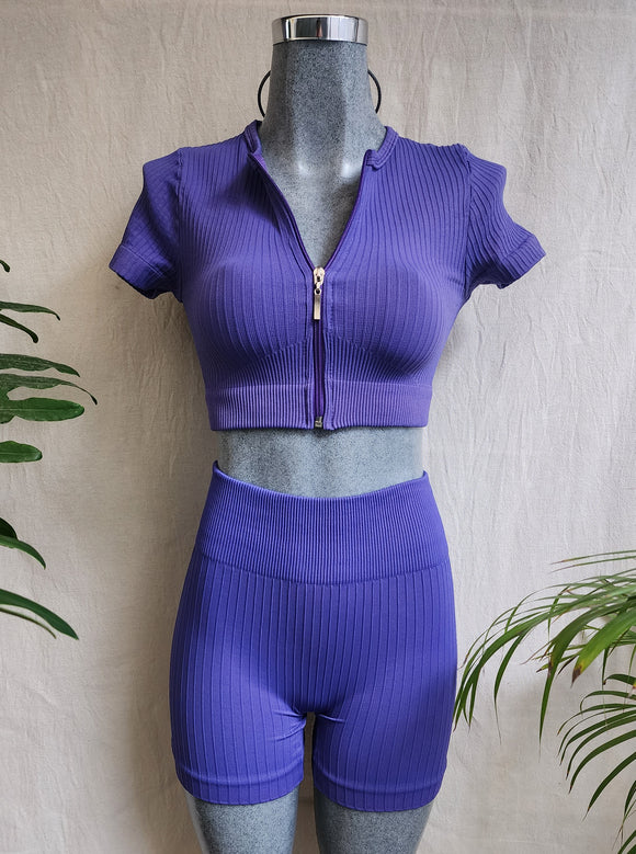 CONJUNTO DEPORTIVO (CIERRE) COLOR AZUL MORADO